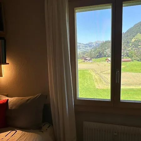 别墅 Newly Renovated In Wispile Near The Park 格施塔德