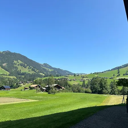 别墅 Newly Renovated In Wispile Near The Park