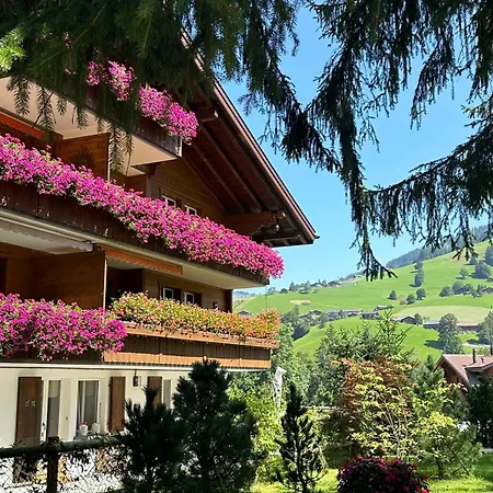 Newly Renovated In Wispile Near The Park 别墅