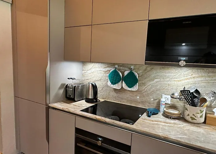 Newly Renovated In Wispile Near The Park *