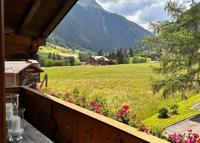 Newly Renovated In Wispile Near The Park * 그슈타드