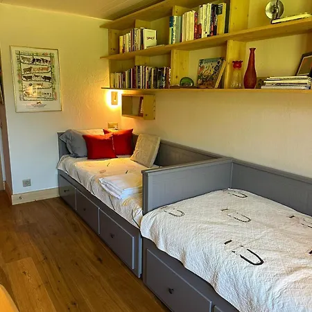 Villa Newly Renovated In Wispile Near The Park Gstaad