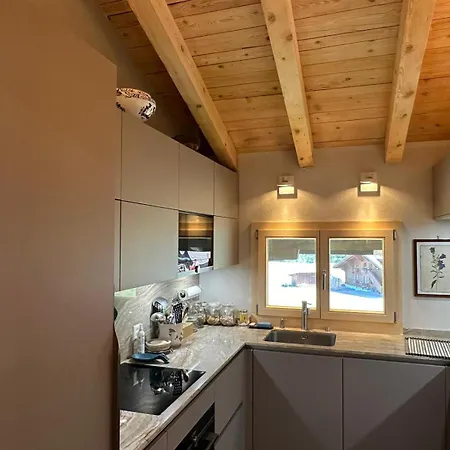 Villa Newly Renovated In Wispile Near The Park *