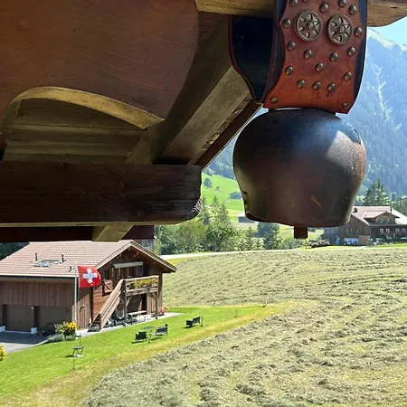 Villa Newly Renovated In Wispile Near The Park Gstaad